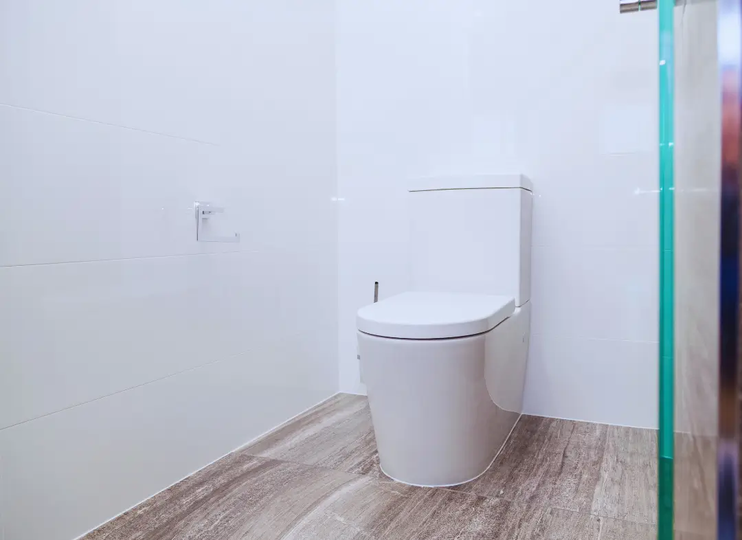 Remplacement de wc Moulins-lès-Metz